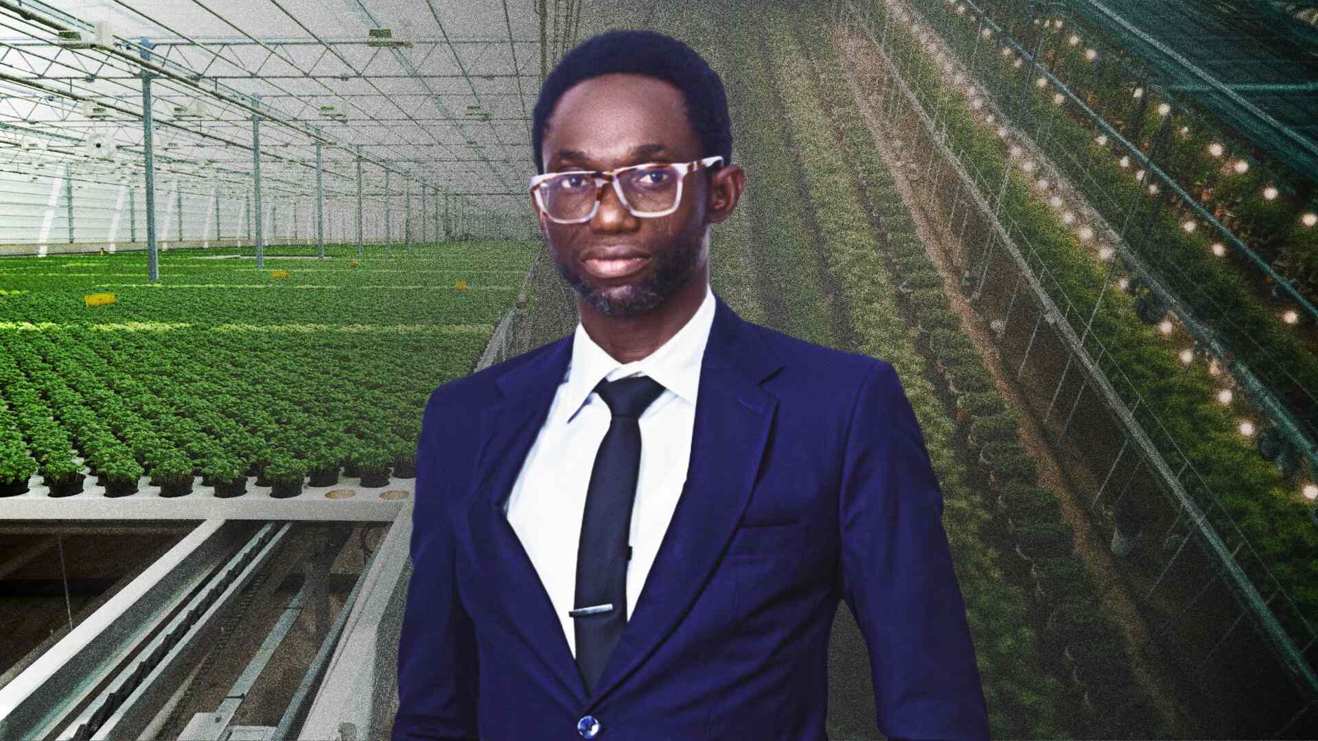 Soilless Farms Labs is building a new model for Nigerian agriculture