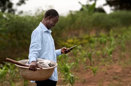 Kenya's share of African agtech funding has halved in 2 years. Here is what the money is chasing instead.