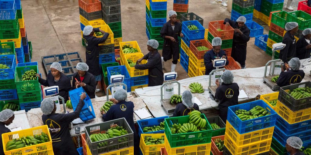 Twiga Foods enters administration after years of financial strain