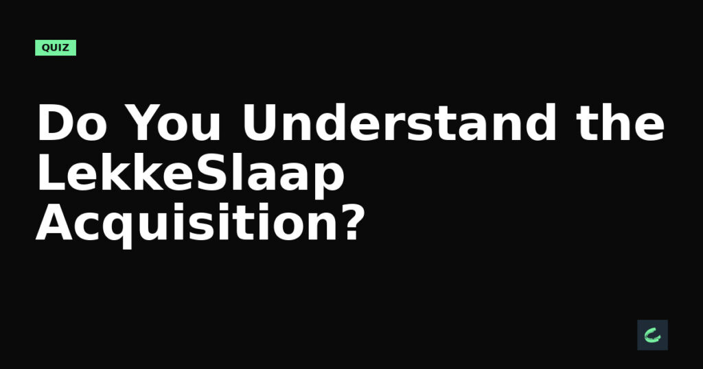 Do You Understand the LekkeSlaap Acquisition?