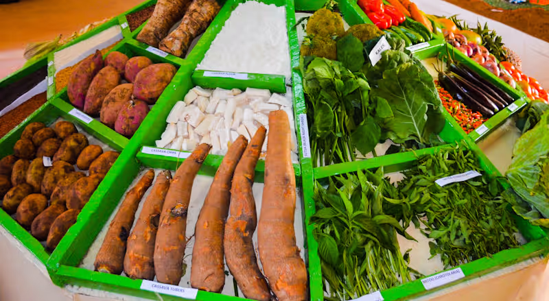 How Kyosk’s acquisition of KwikBasket will transform the African fresh produce market