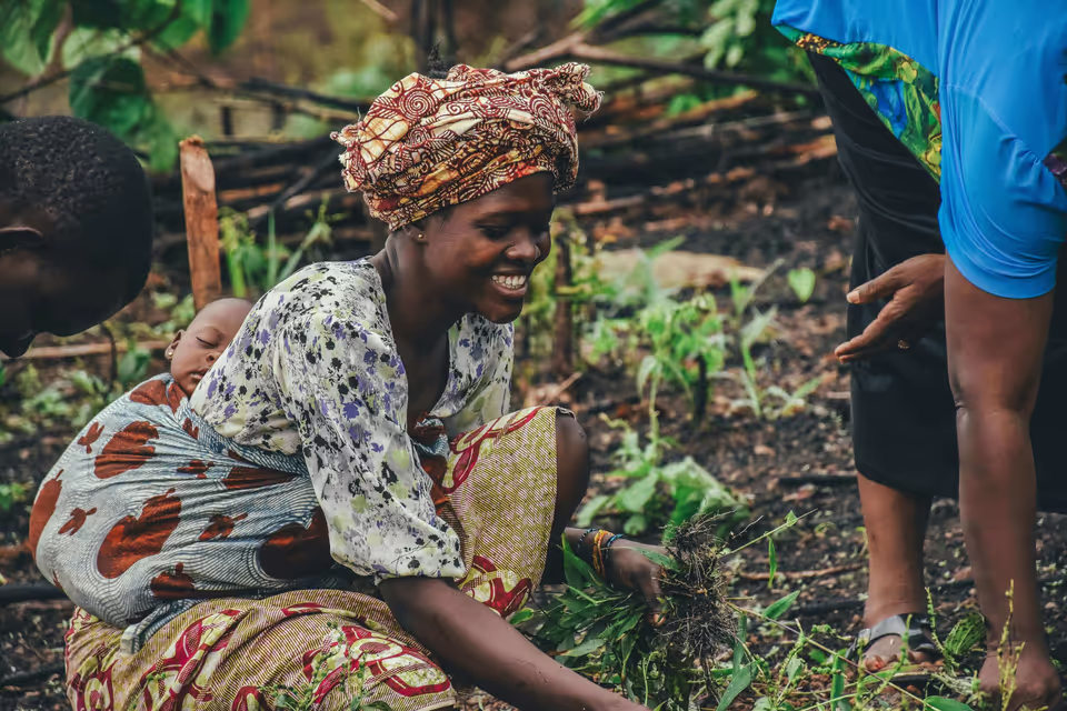 ThriveAgric and Acorn Rabo Bank join forces to generate $56 million in carbon revenue for 30,000 Nigerian farmers