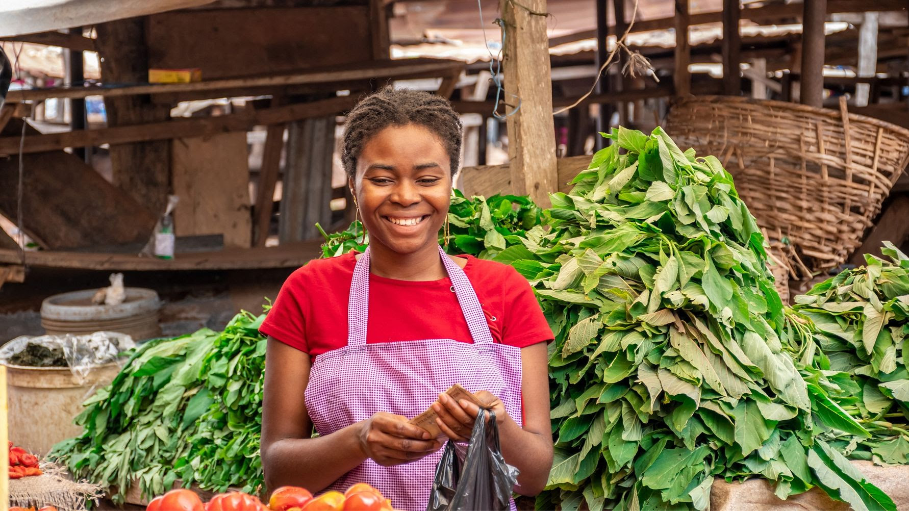 Swedfund backs TLG fund with $15 million to strengthen SMEs