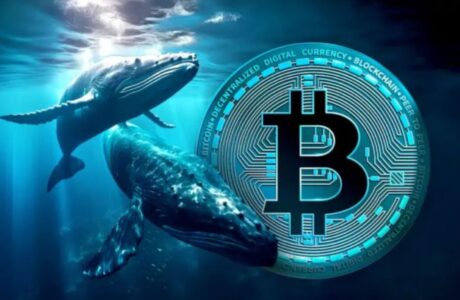 Bitcoin's earliest investors move $8.6 Billion after 14 years of silence