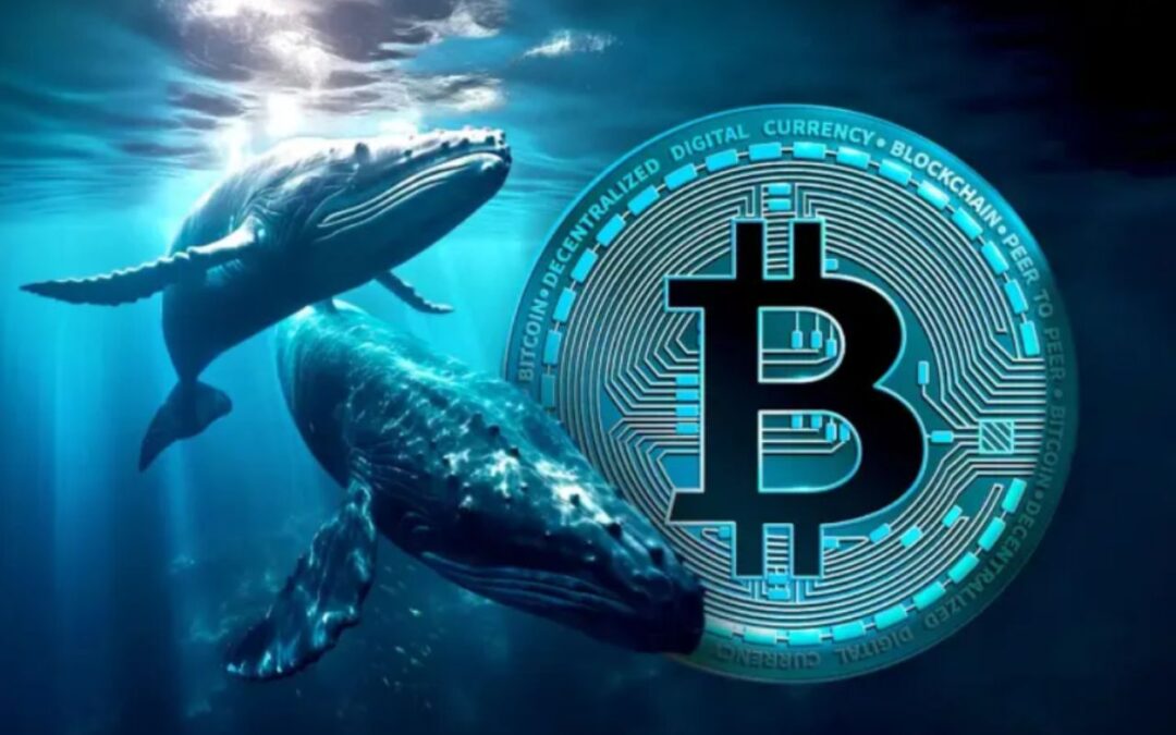 Bitcoin’s earliest investors move $8.6 Billion after 14 years of silence