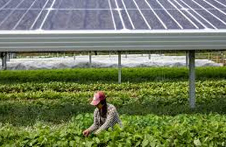 AFC secures  $255M  loan to power Africa’s green infrastructure
