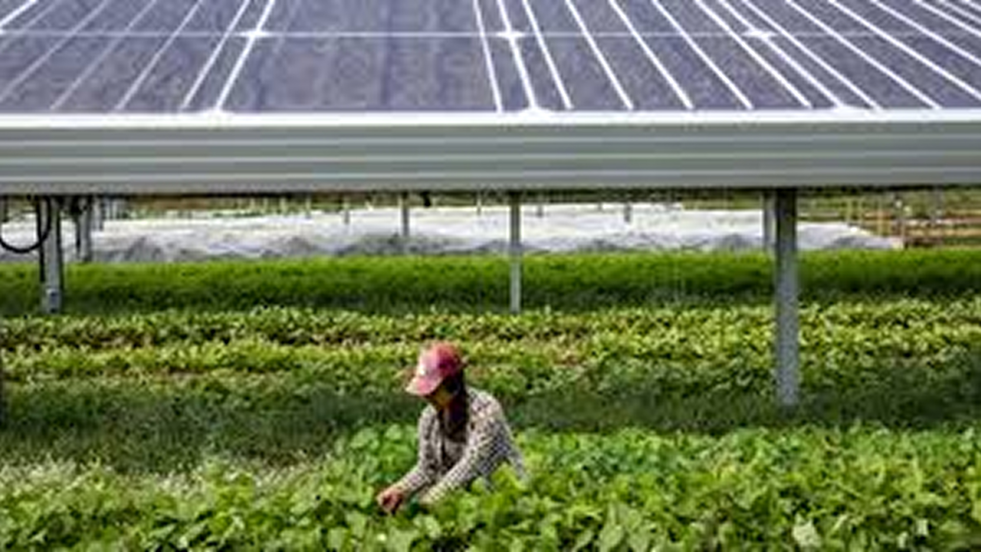 AFC secures  $255M  loan to power Africa’s green infrastructure