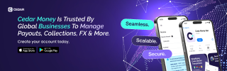 Advertisement banner image